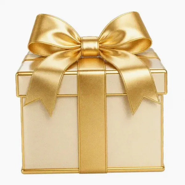 Wrapped gift box — Lucky Mister