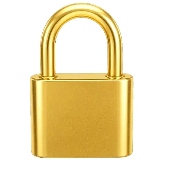 Orange padlock — Lucky Mister