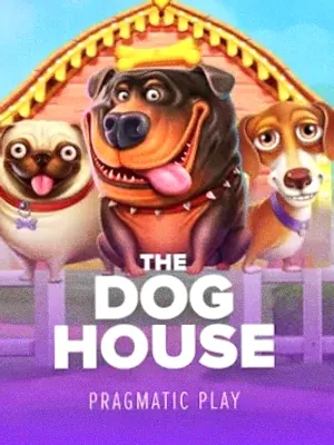 The Dog House at Lucky Mister