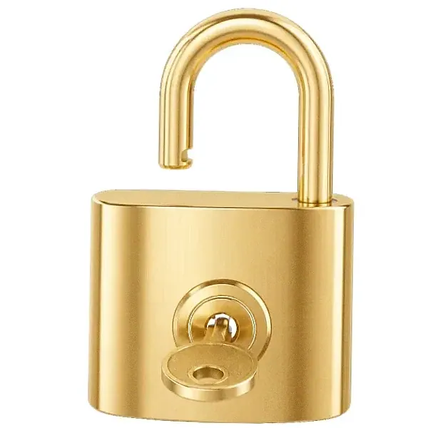 Open padlock — Lucky Mister
