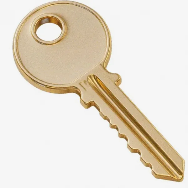 Metal key — Lucky Mister