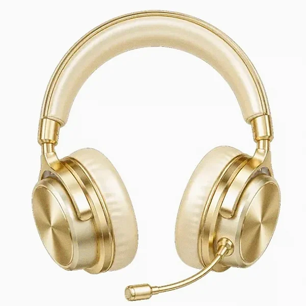 Headset with microphone — Lucky Mister