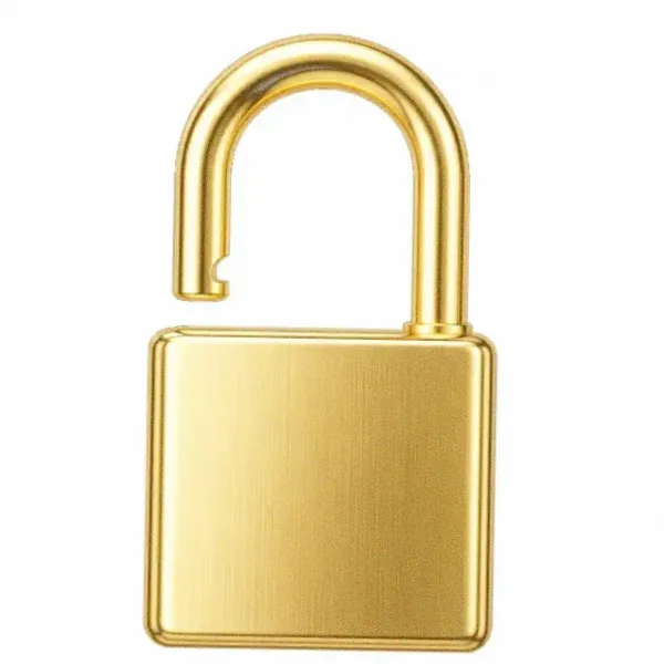 Padlock — Lucky Mister